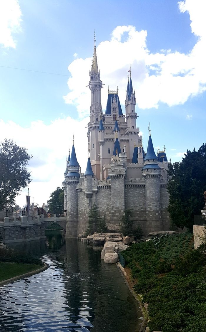 Disney Castle pictured.
